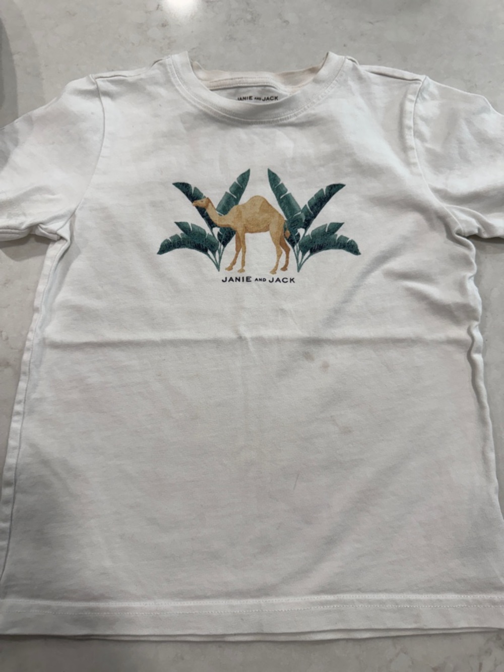 Janie and Jack Camel Swim Trunks and Cotton Shirt 5T - Picture 5 of 8